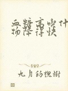 血糖高吃什么食物降得快