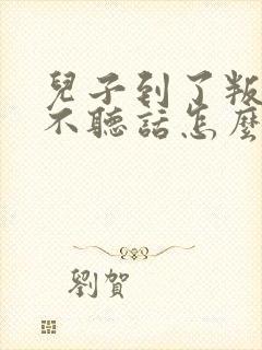 儿子到了叛逆期不听话怎么办