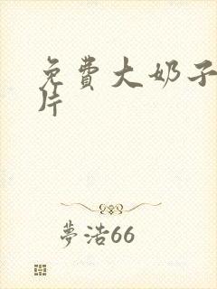 免费大奶子黄色片