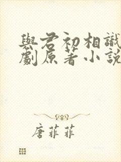 与君初相识电视剧原著小说