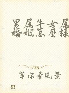 男属牛女属马的婚姻怎么样封面