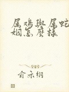 属鸡与属蛇的婚姻怎么样