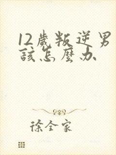 12岁叛逆男孩该怎么办