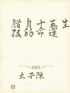 腊月十五生的男孩的命运