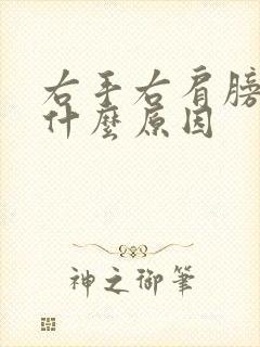 右手右肩膀疼痛什么原因封面