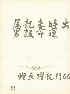 属龙未时出生的男孩命运