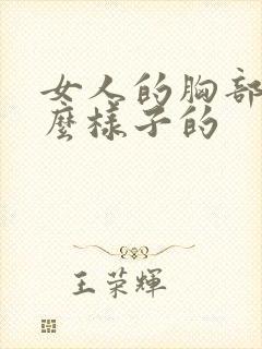 女人的胸部长什么样子的