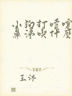 小狗打喷嚏流黄鼻涕吃什么药