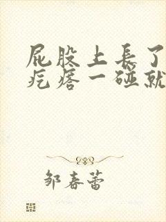 屁股上长了个硬疙瘩一碰就疼