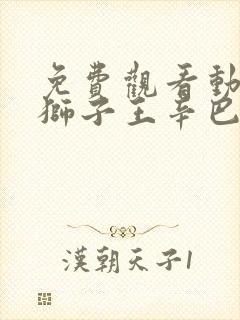 免费观看动画 狮子王辛巴正版