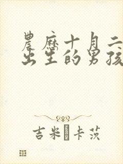 农历十月二十一出生的男孩命运