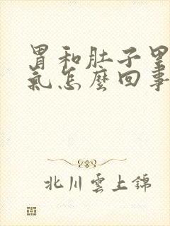 胃和肚子里面有气怎么回事