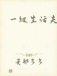 一级生活夫妻片