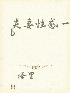 夫妻性感一级片b