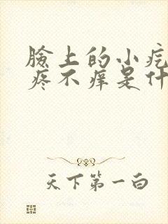 脸上的小疙瘩不疼不痒是什么