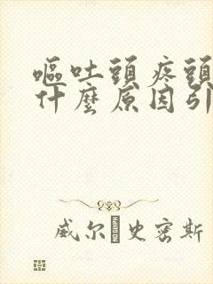 呕吐头疼头晕是什么原因引起的