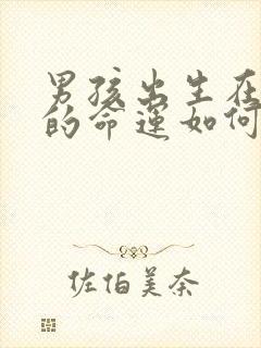 男孩出生在午时的命运如何封面