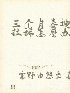 三个月泰迪有点拉稀怎么办