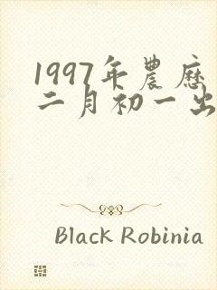 1997年农历二月初一出生的男孩命好吗
