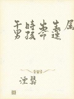 午时出生属龙的男孩命运封面