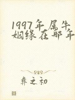 1997年属牛姻缘在哪年男生封面