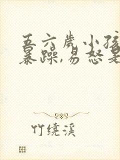 五六岁小孩脾气暴躁,易怒是什么原因?