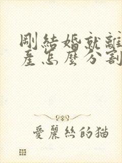 刚结婚就离婚财产怎么分割封面