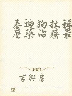 泰迪狗拉稀用什么药治疗最好