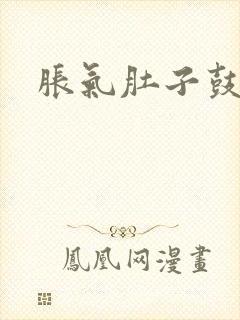 胀气肚子鼓鼓的封面