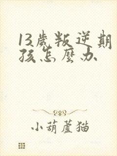 13岁叛逆期男孩怎么办