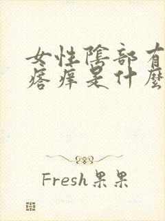 女性阴部有小疙瘩痒是什么原因