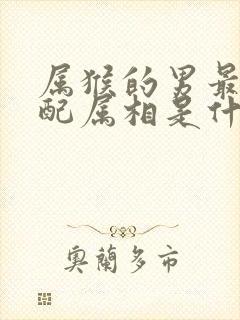 属猴的男最佳婚配属相是什么