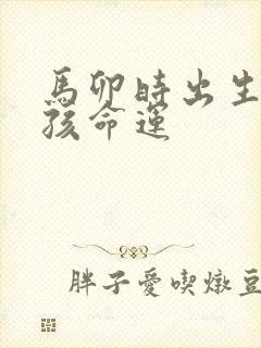 马卯时出生的男孩命运