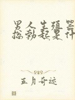 男人生殖器晚上总勃起是什么原因