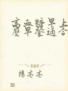 高血糖早上吃什么早餐适合?