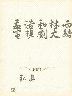 孟浩和林雨欣的电视剧大结局