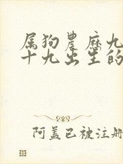 属狗农历九月二十九出生的人命运怎么样