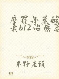 摩罗丹叶酸维生素b12治疗萎缩性胃炎