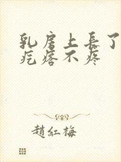 乳房上长了个硬疙瘩不疼