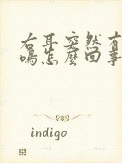 右耳突然有点耳鸣怎么回事