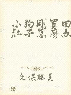 小狗刚买回来拉肚子怎么办