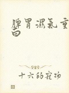 脾胃湿气重舌苔白