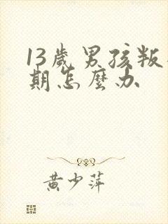 13岁男孩叛逆期怎么办