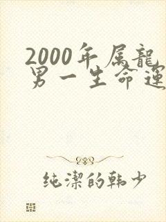 2000年属龙男一生命运怎么样