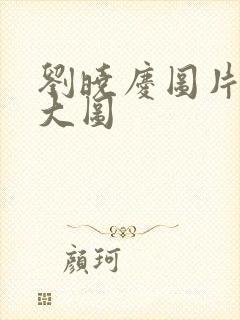 刘晓庆图片高清大图