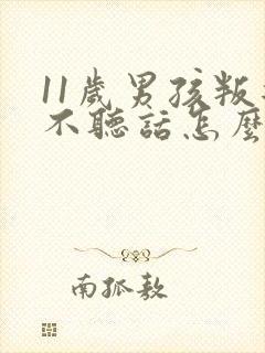 11岁男孩叛逆不听话怎么办封面