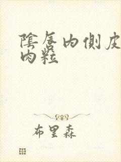 阴唇内侧皮肤小肉粒