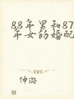 88年男和87年女的婚配好吗
