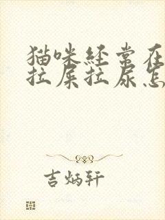 猫咪经常在外面拉屎拉尿怎么办