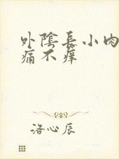 外阴长小肉粒不痛不痒